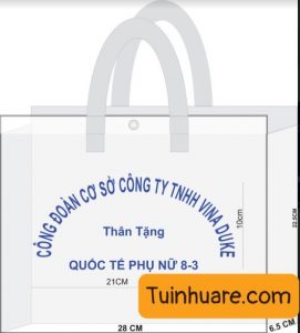 Túi nhựa PVC trong suốt in logo