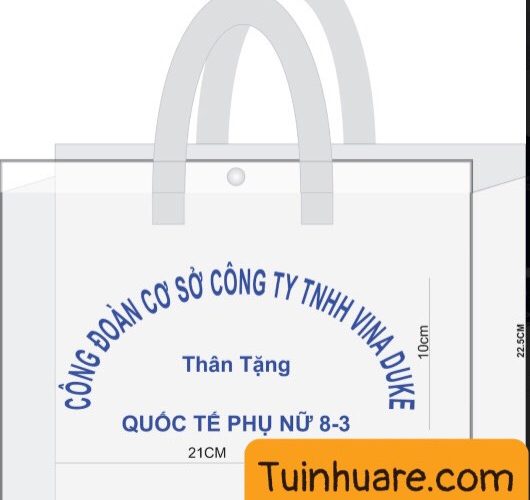 Túi nhựa PVC trong suốt in logo